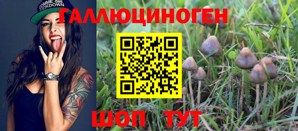 Галлюциногенные грибы MAGIC MUSHROOMS Павлово