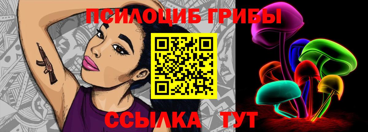 Галлюциногенные грибы мицелий  Галлюциногенные грибы GOLDEN TEACHER  Павлово  дарнет шоп  Вход с VPN 